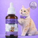 vitpaw B+ Complex Biotin Damla...